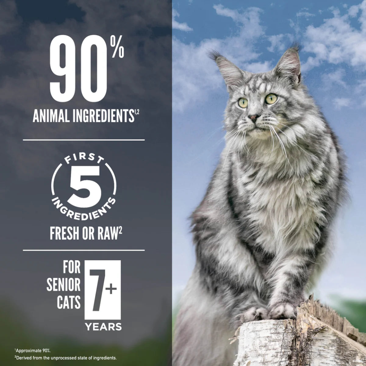 ORIJEN Guardian 8 Salmon, Duck & Chicken Senior Cat Food