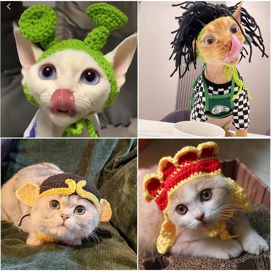 Crochet Costume Hat