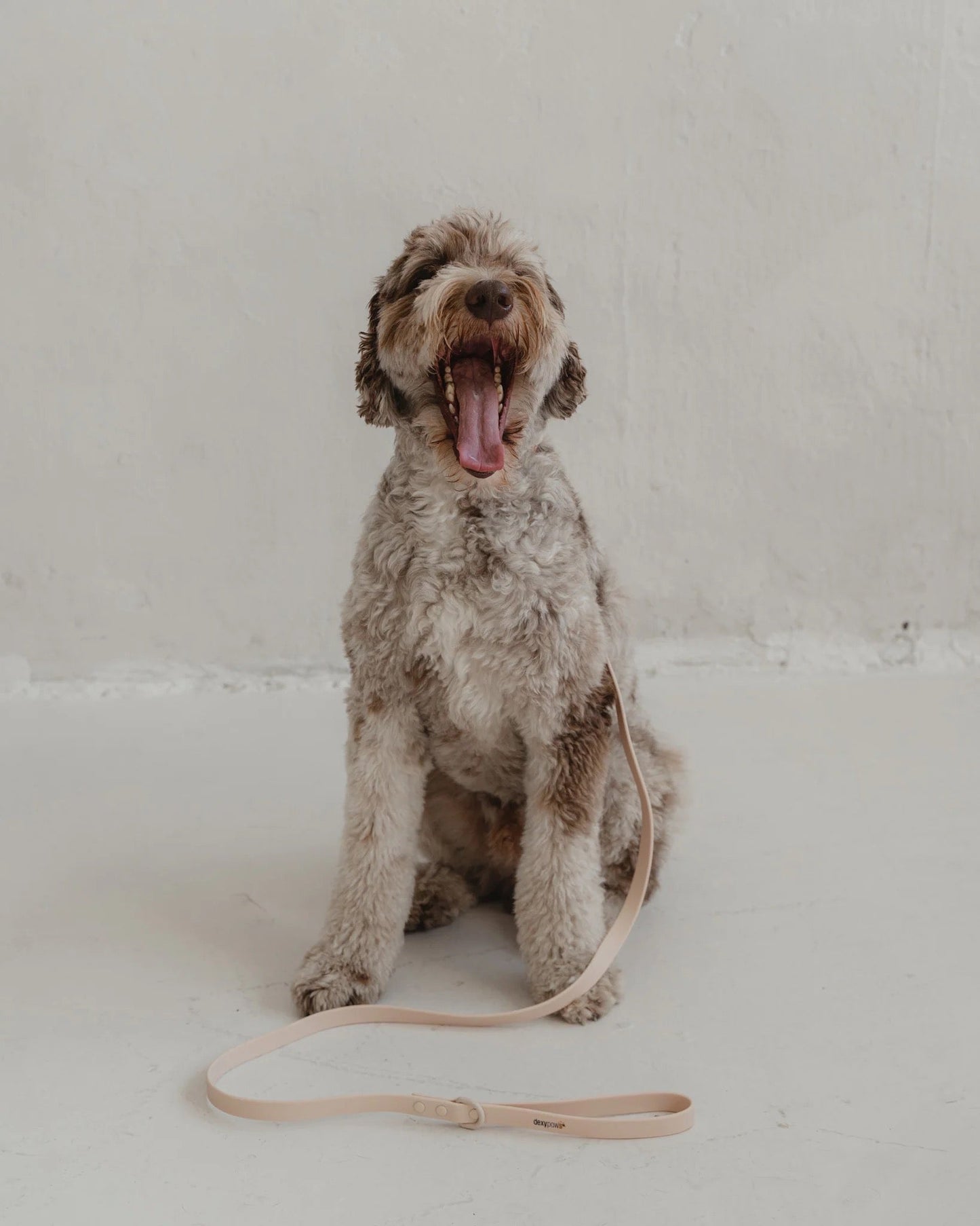 Dexypaws Waterproof Dog Leash in Nude