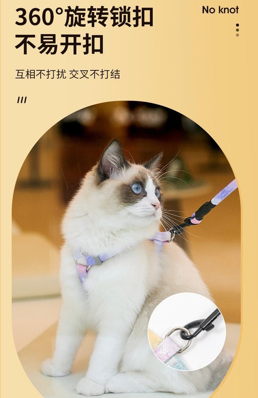 Colorful H-Shaped Small Wings Leash