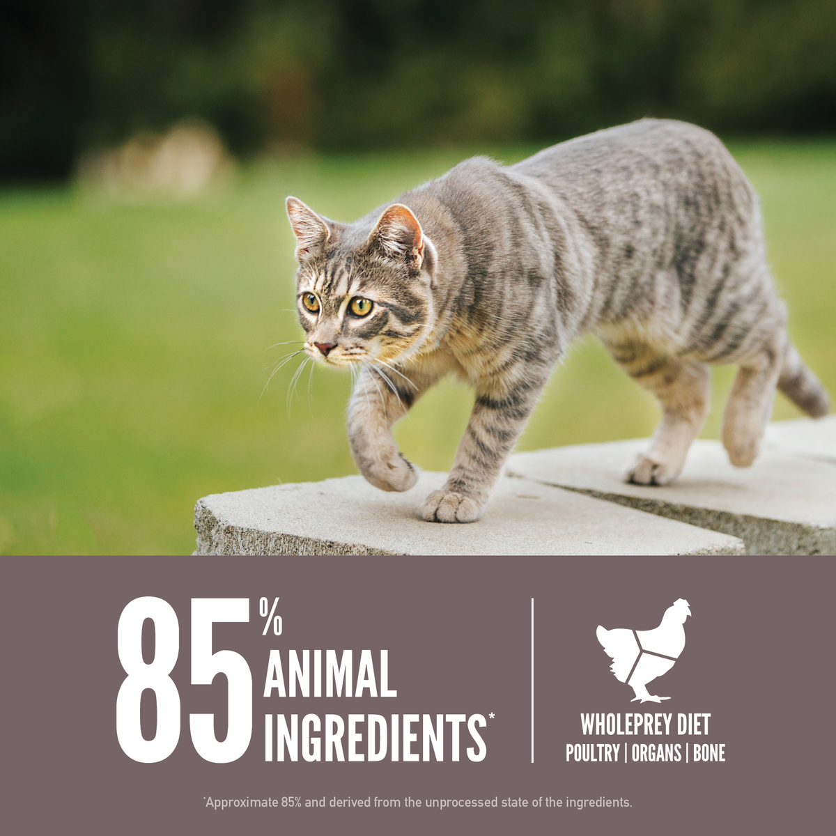 ORIJEN Fit & Trim Cat Food
