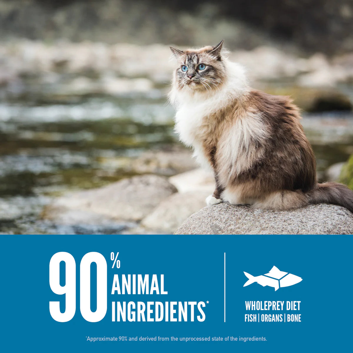 ORIJEN Six Fish Cat Food