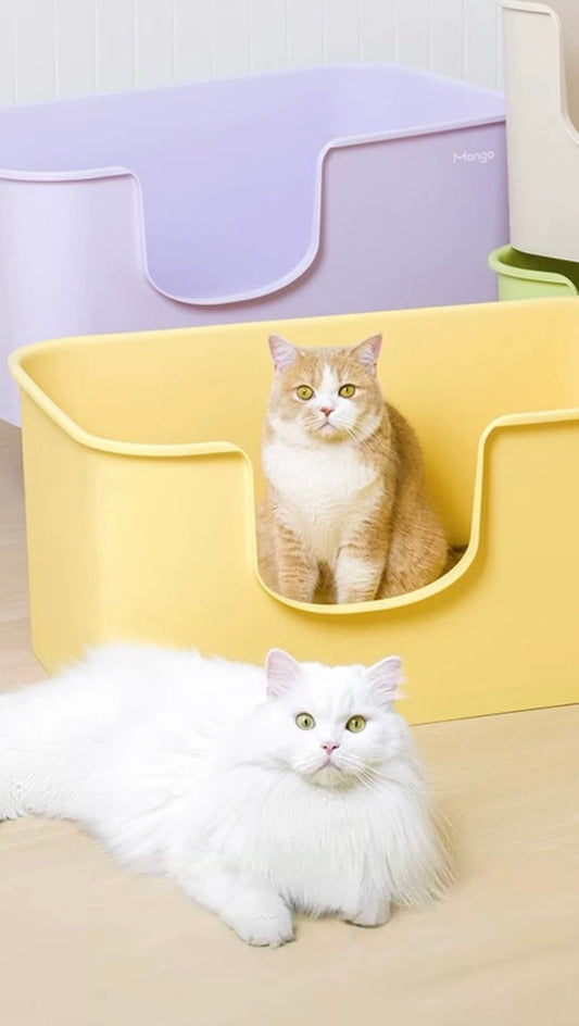 Mango Giant Butter Cat Litter Box