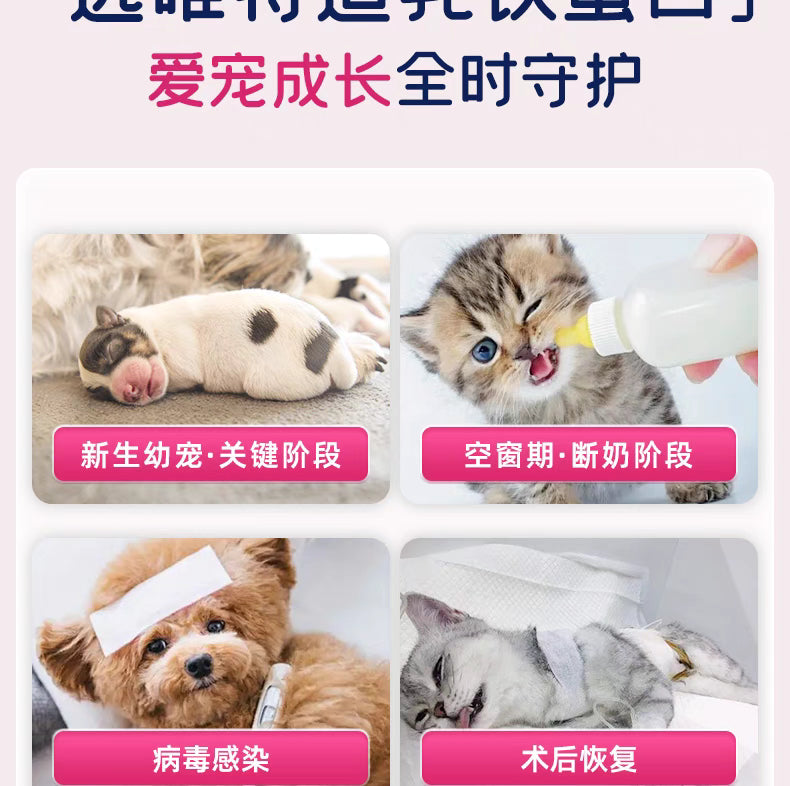 Vetwish Immune Support