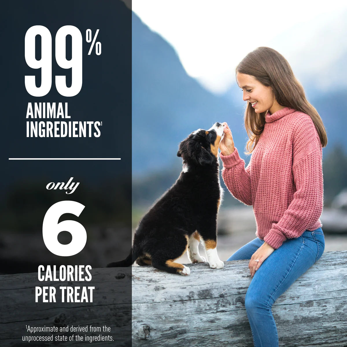 ORIJEN Beef Freeze-Dried Dog Treats 92g