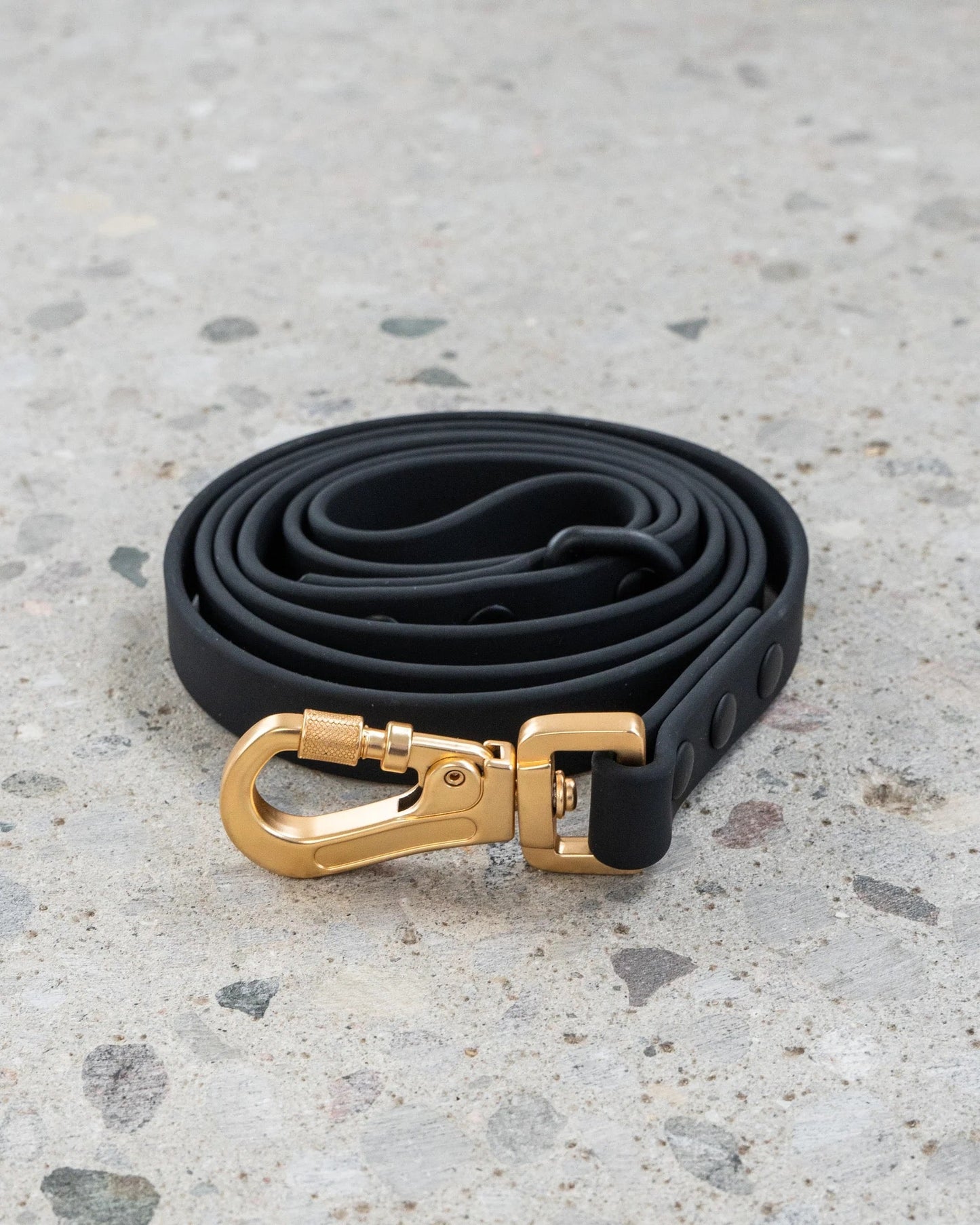 Dexypaws Waterproof Dog Leash in Black