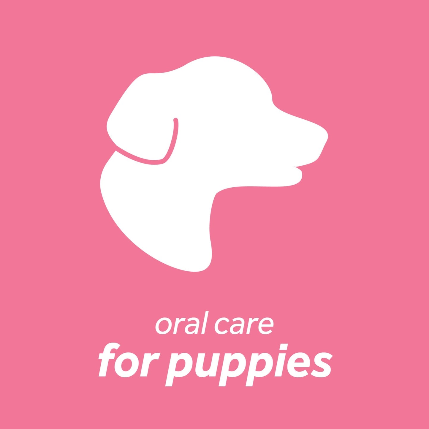 Tropiclean Fresh Breath Dental Health Solution For Puppies Dog 16oz