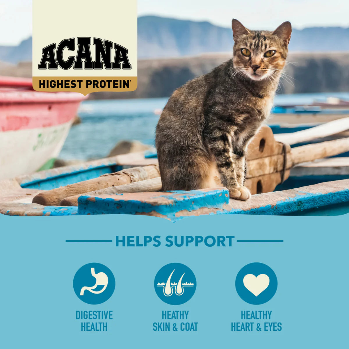 ACANA Highest Protein Pacifica Cat Food