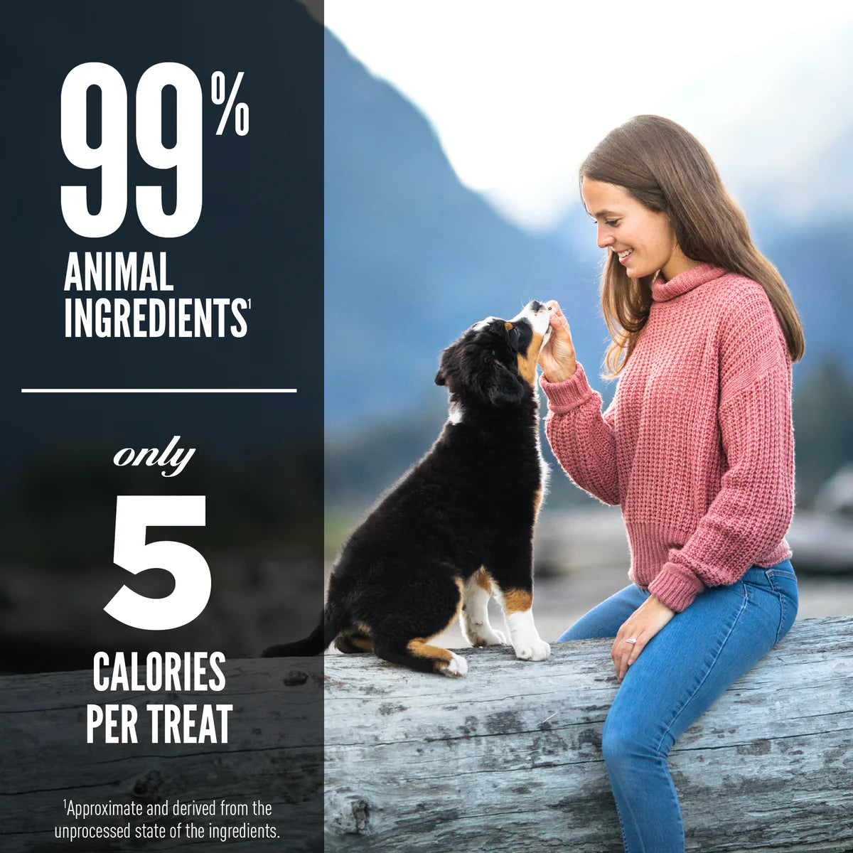 ORIJEN Original Freeze-Dried Dog Treats 92g