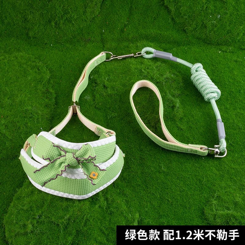 Colors Of Spring Leash
