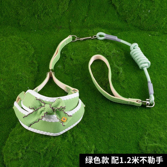 Colors Of Spring Leash