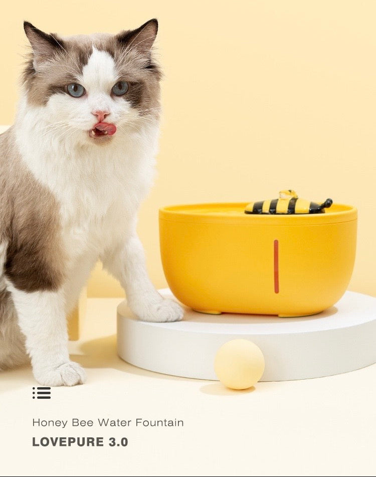 Bee Water Fountain