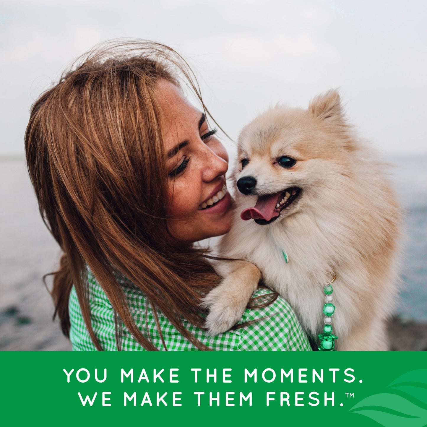 Tropiclean Fresh Breath Dental Health Solution For Dogs 1L