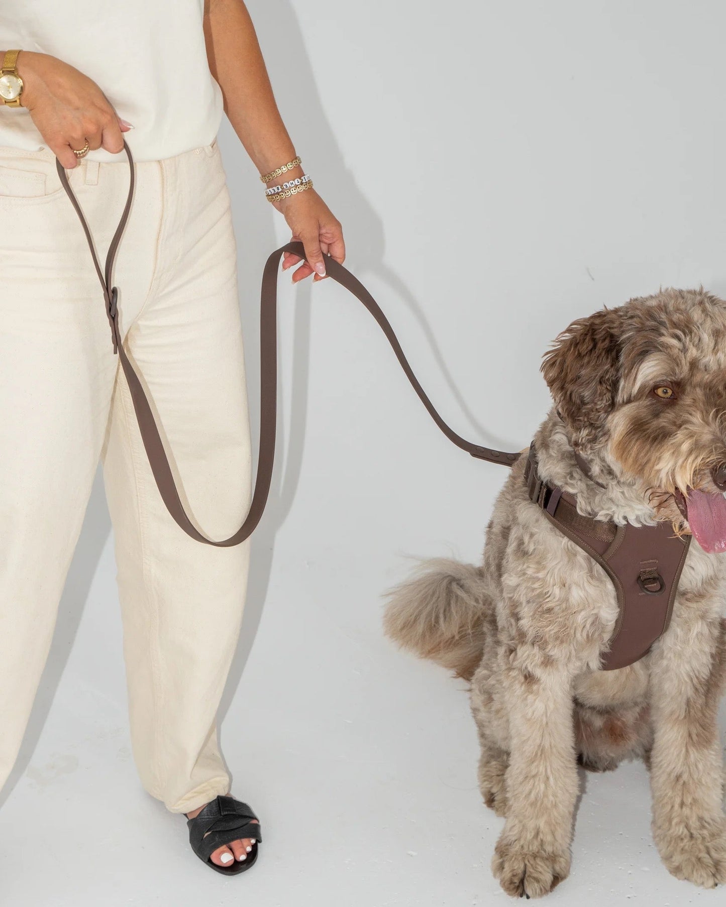 Dexypaws Waterproof Dog Leash in Espresso