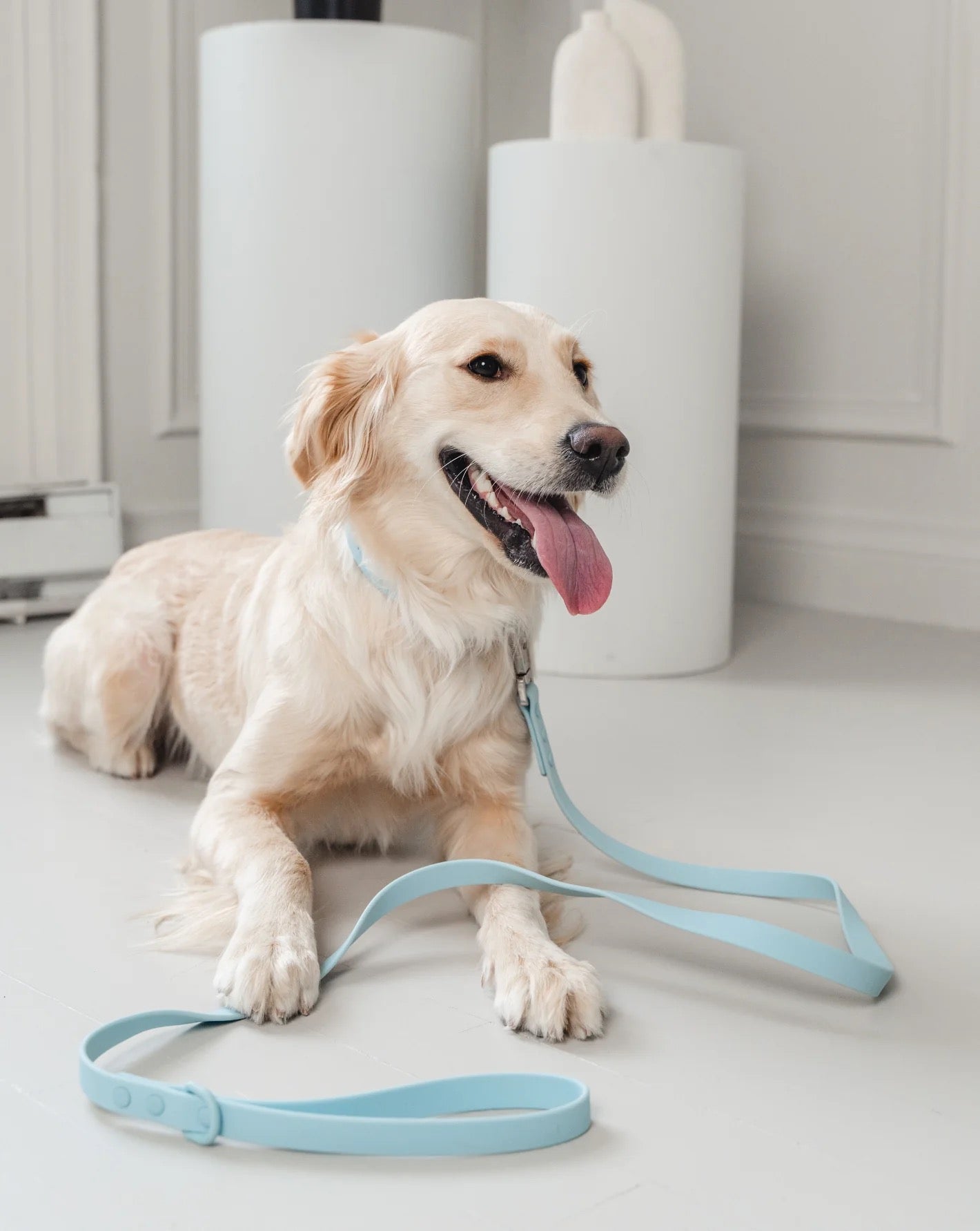 Dexypaws Waterproof Dog Leash in Sky Blue