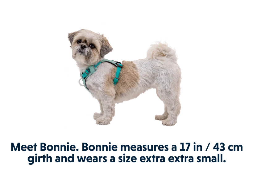 RUFFWEAR Hi & Light Lightweight Dog Harness Sage Green
