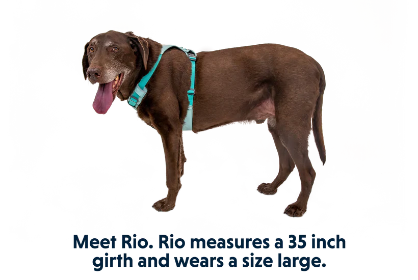 RUFFWEAR Hi & Light Lightweight Dog Harness Sage Green