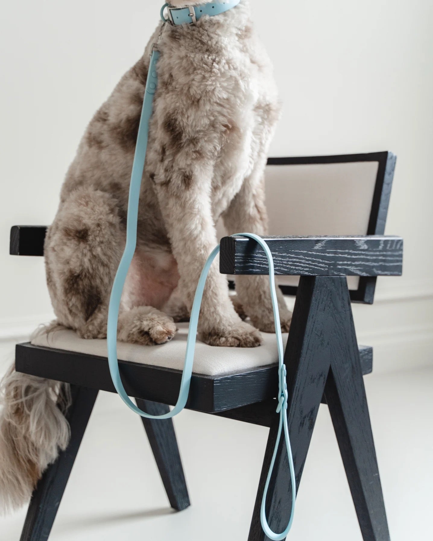 Dexypaws Waterproof Dog Leash in Sky Blue