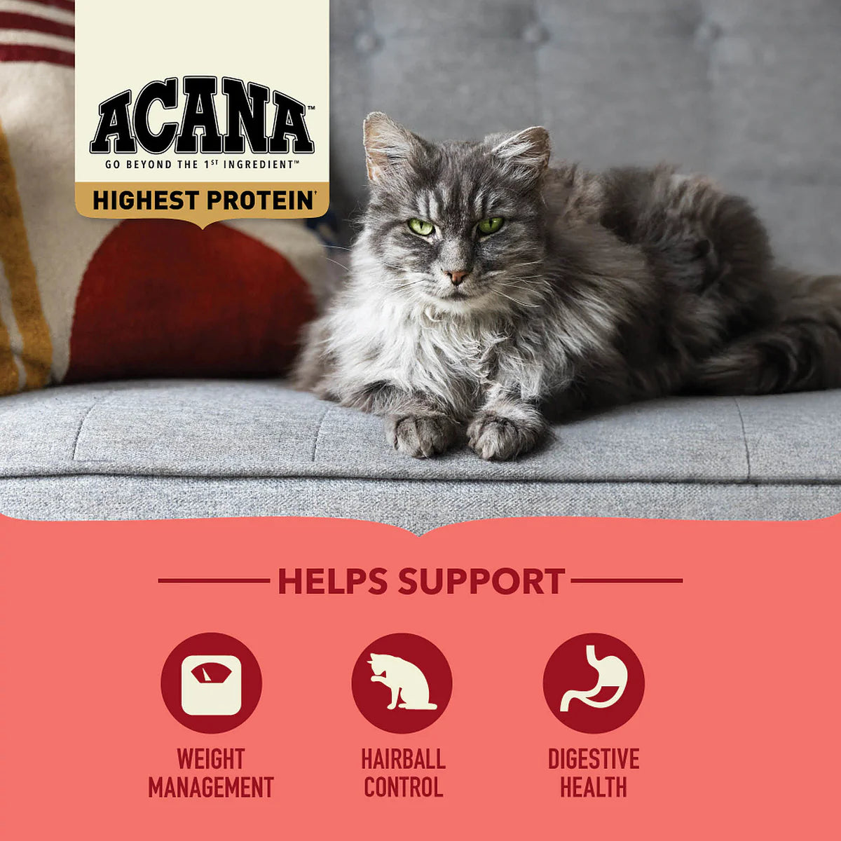 ACANA Highest Protein Indoor Cat Recipe