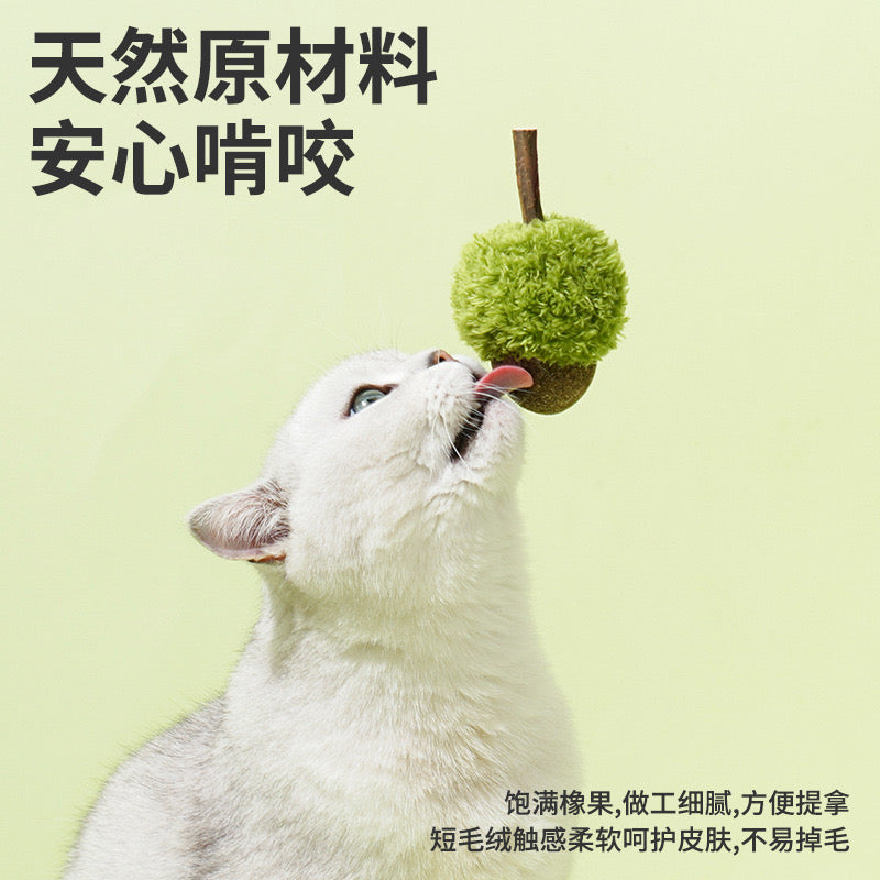 Acorn Catnip Toy