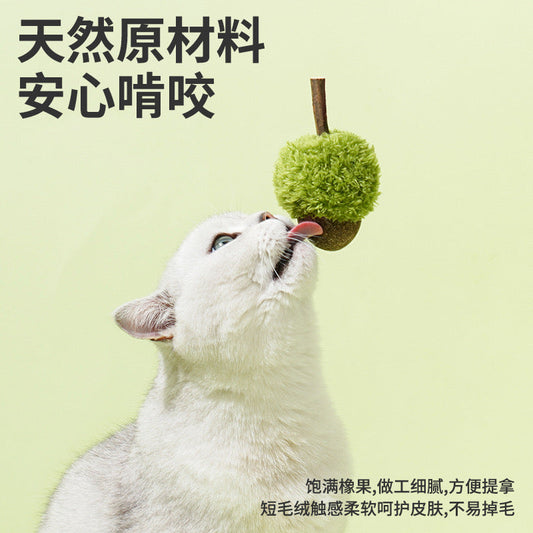 Acorn Catnip Toy