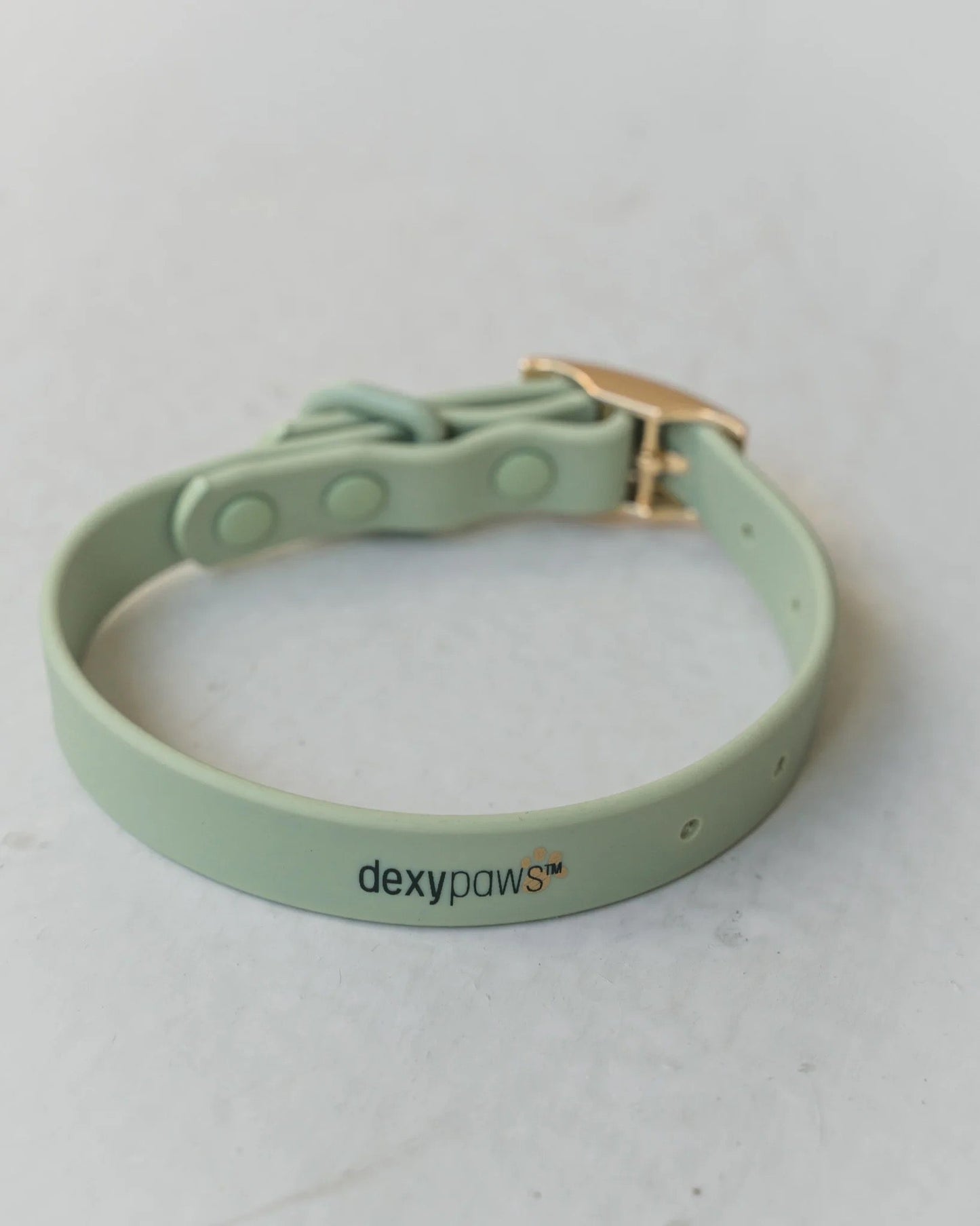 Dexypaws Waterproof Dog Collar in Sage Green