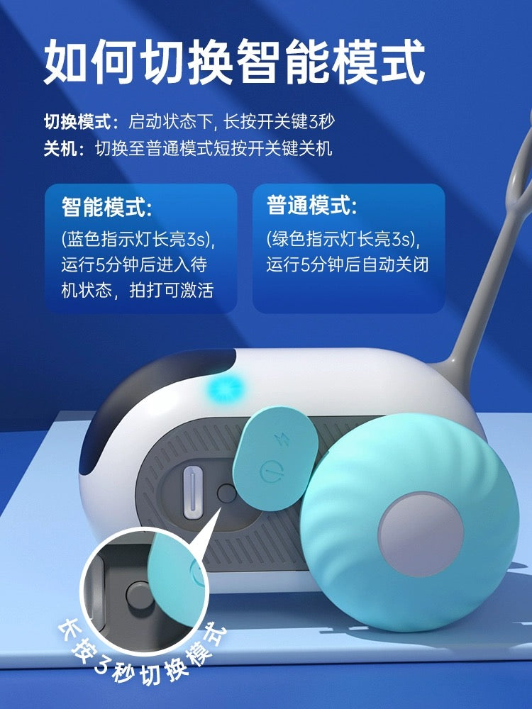 Electric Car