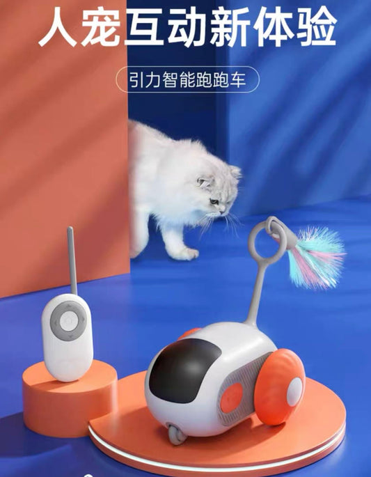 Electric Car