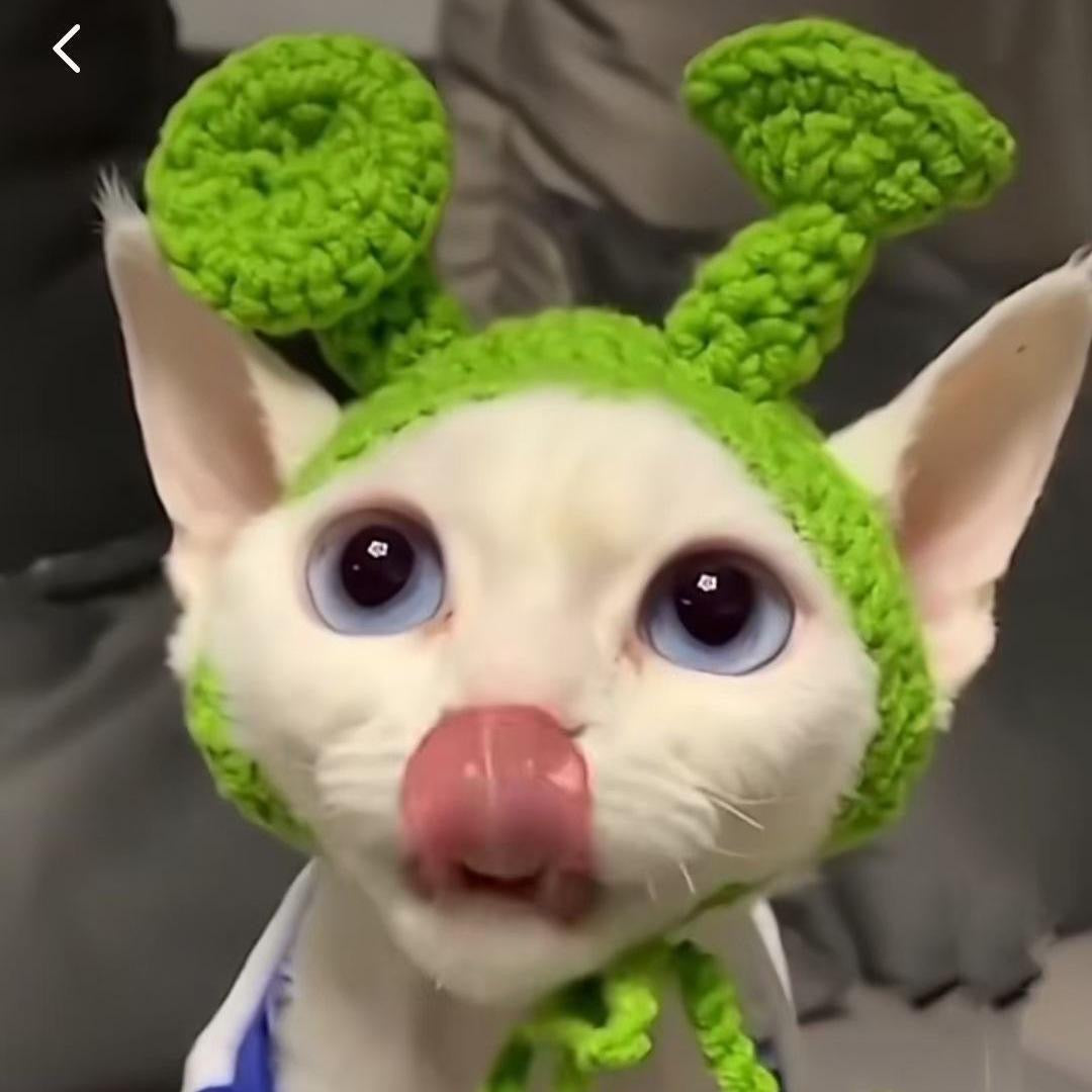 Crochet Costume Hat