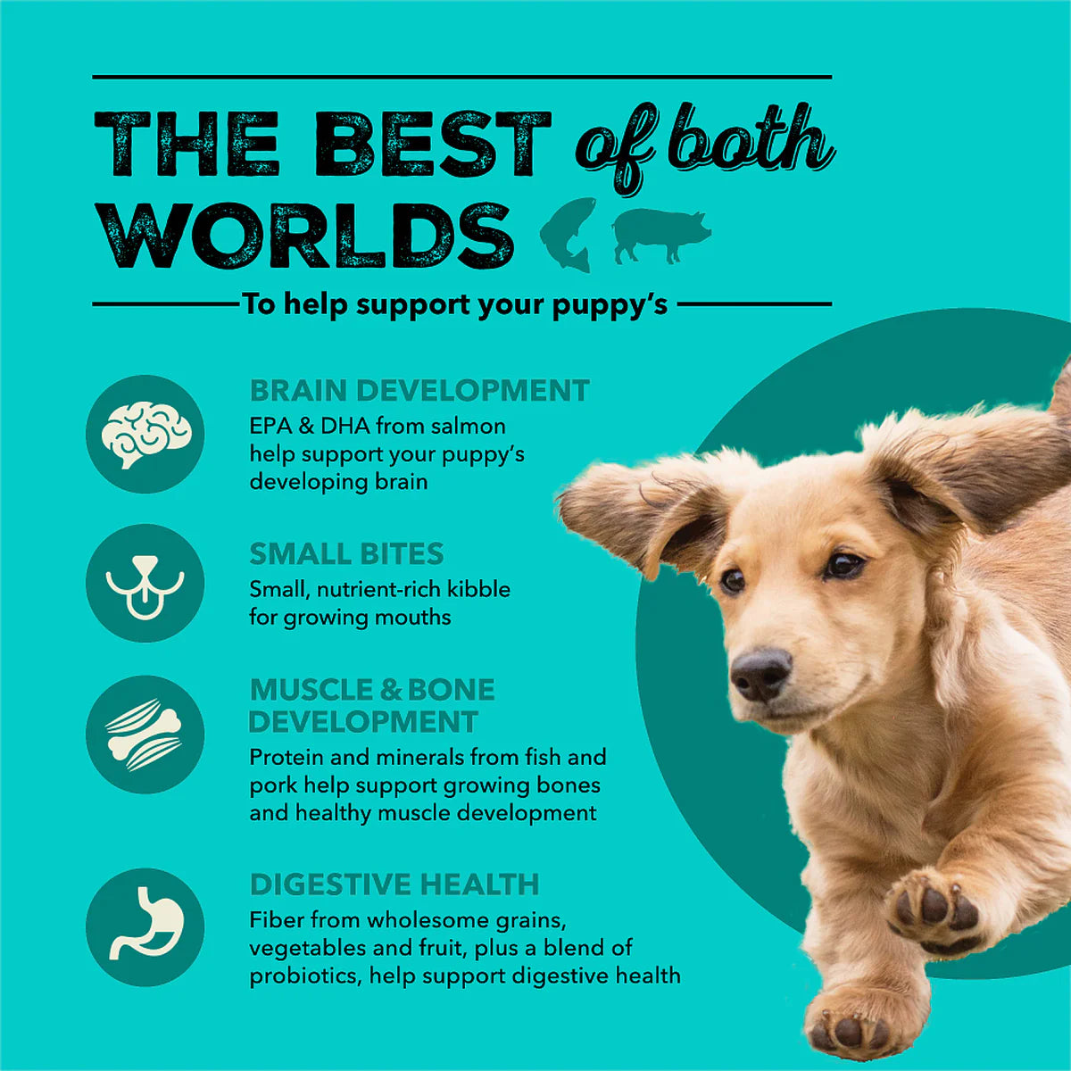 ACANA Healthy Grains Sea & Farm Recipe Puppy Dog Food