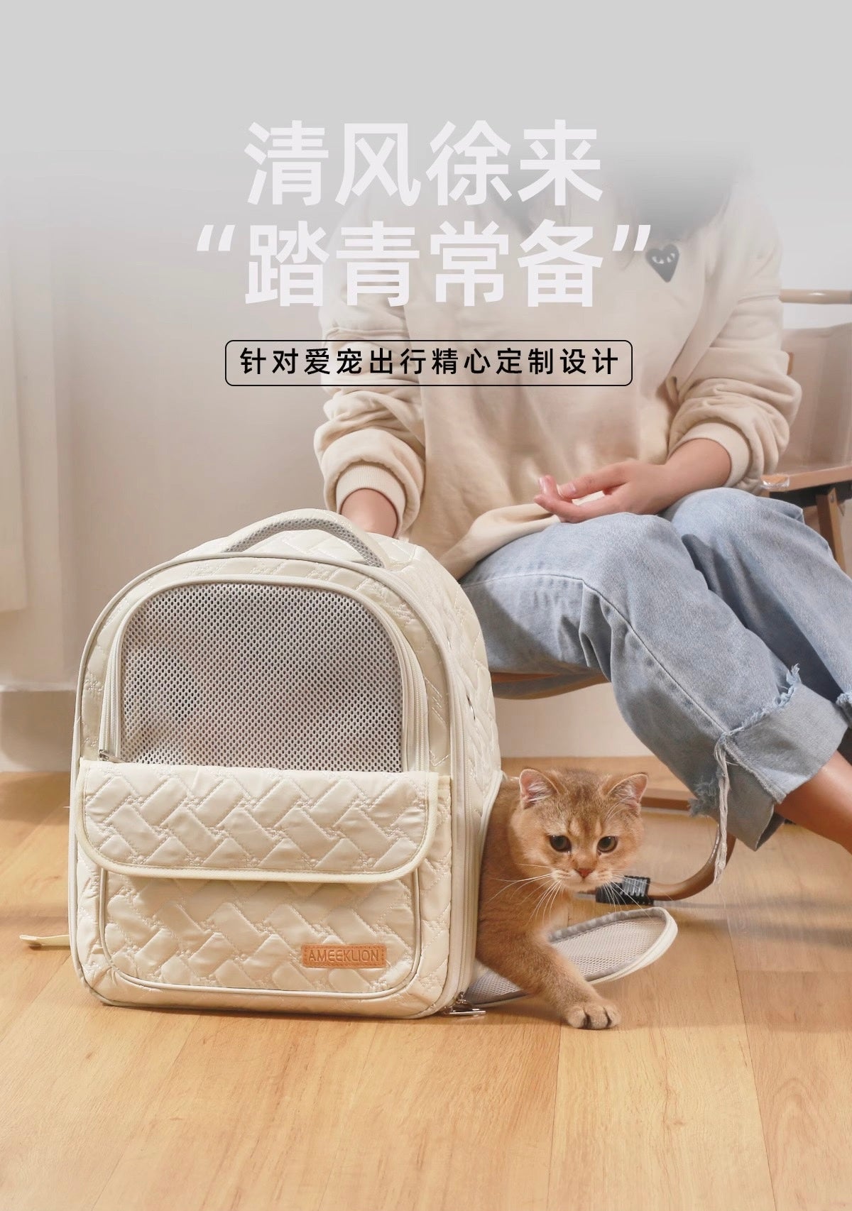 Ameeklion Pet Backpack