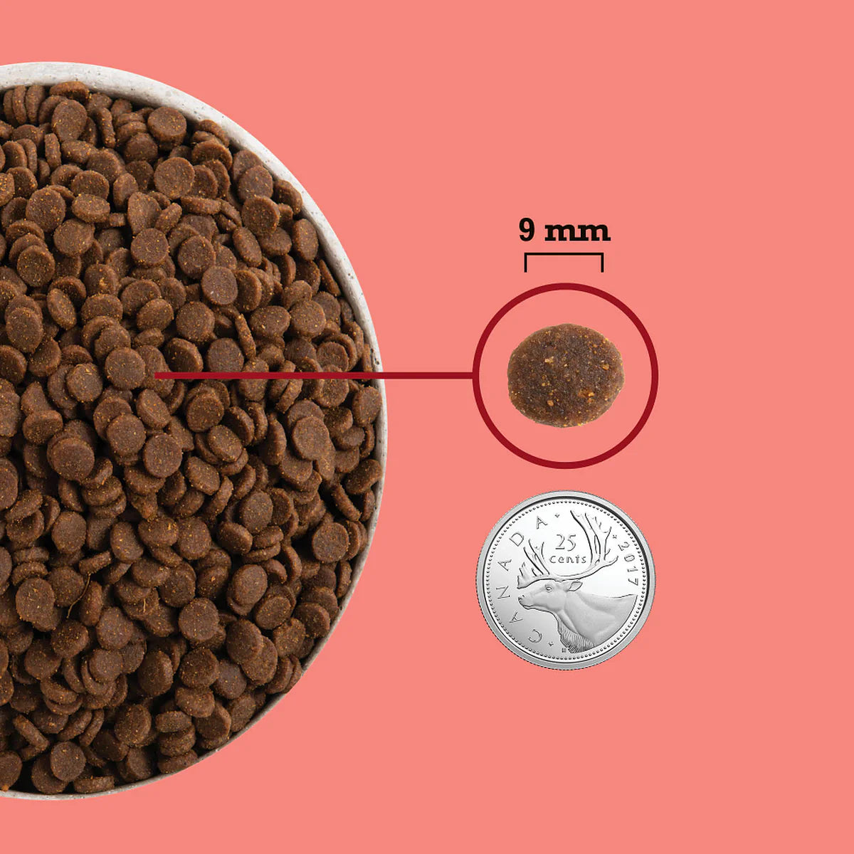 ACANA Highest Protein Indoor Cat Recipe