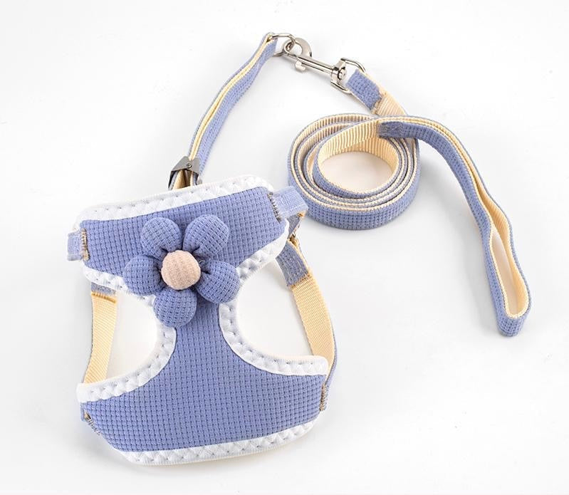 Sunflower Leash