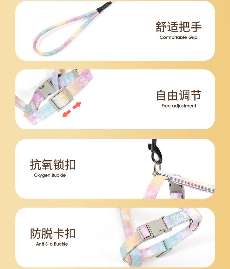 Colorful H-Shaped Small Wings Leash