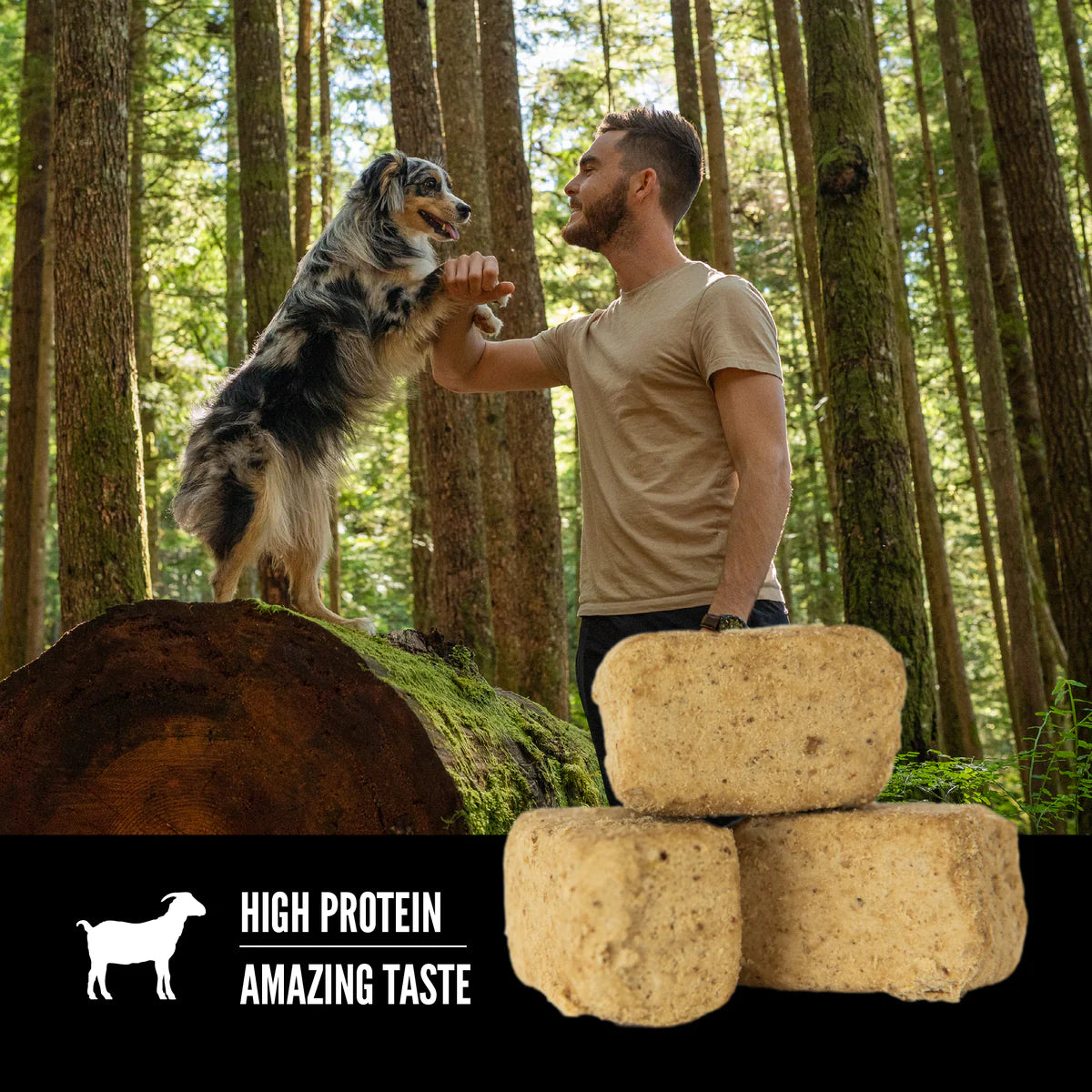 ORIJEN Tundra Freeze-Dried Dog Treats