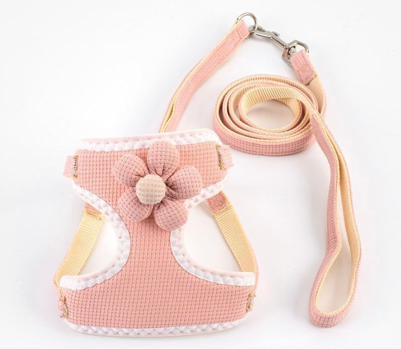 Sunflower Leash