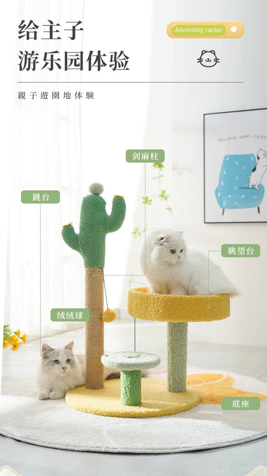 Funny Cactus Climbing Rack