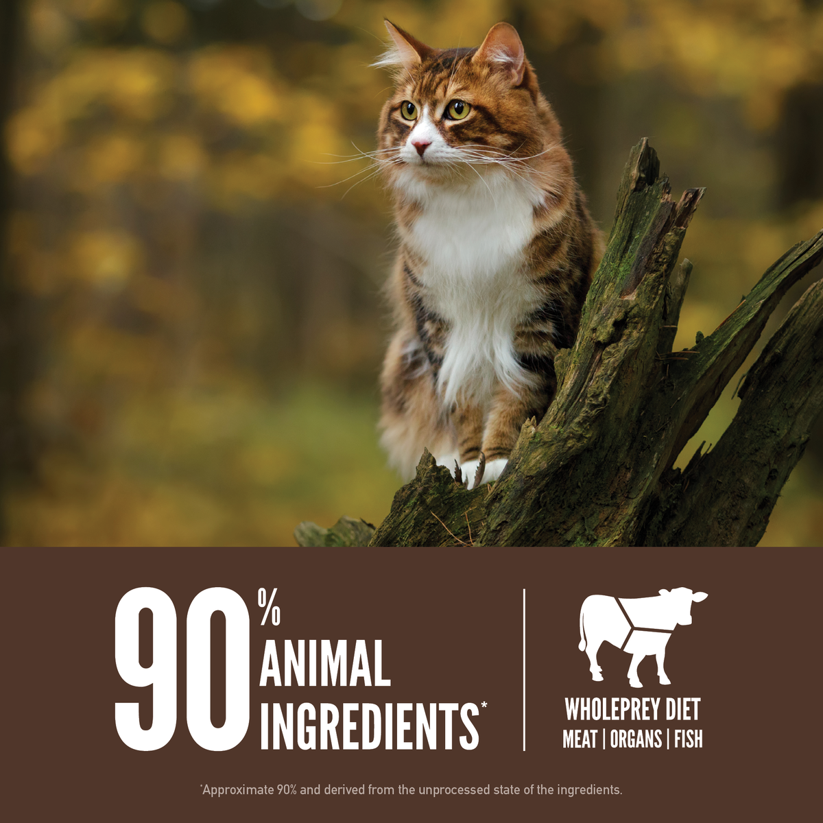 ORIJEN Regional Red Cat Food