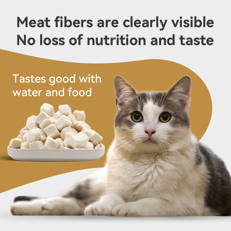 RANOVA Freeze-Dried Chicken Cat Treat 140g