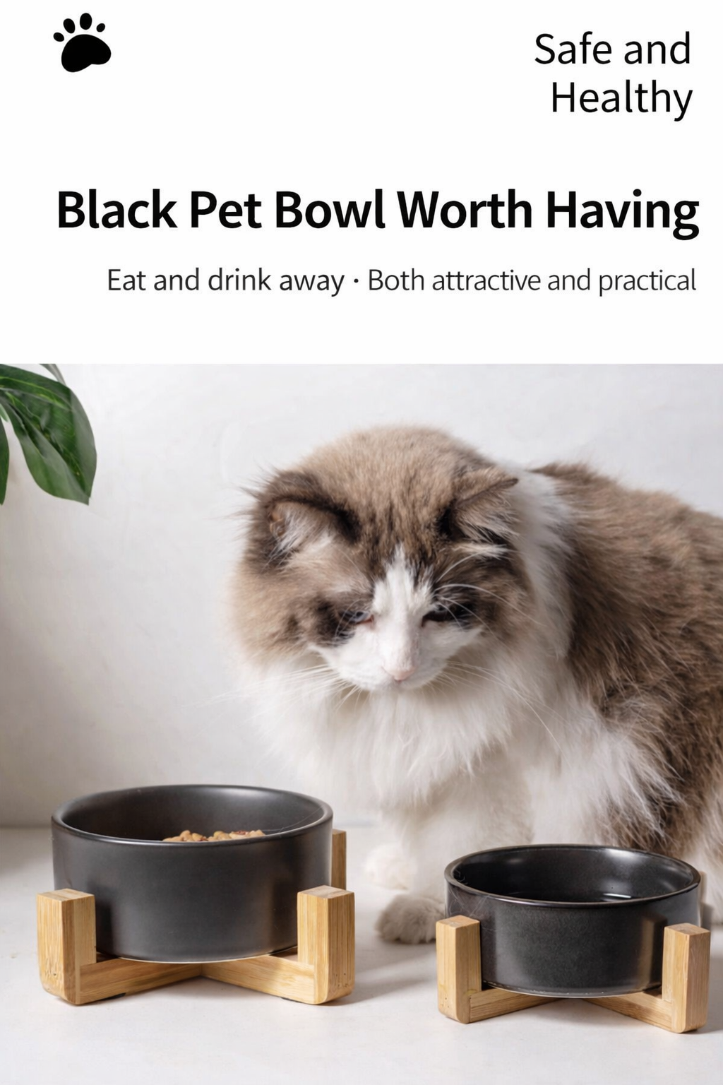 Ceramics Bowl with Bamboo Stand