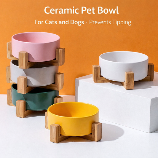 Ceramics Bowl with Bamboo Stand