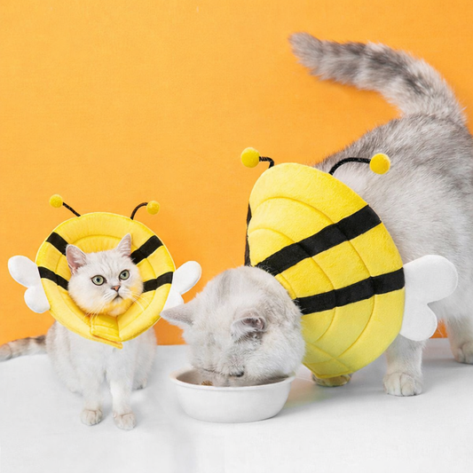 Recovery Collar - Bee