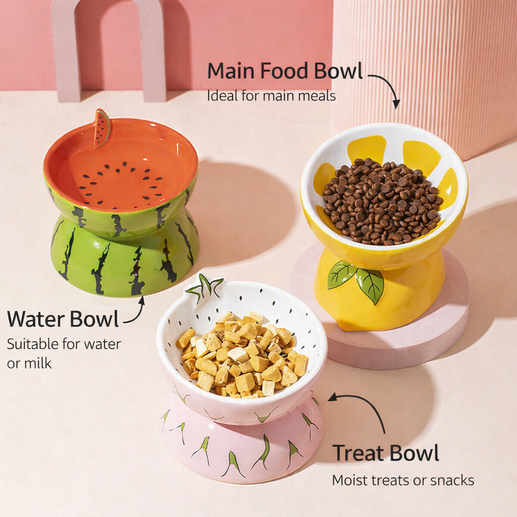Fruit Cat Bowl