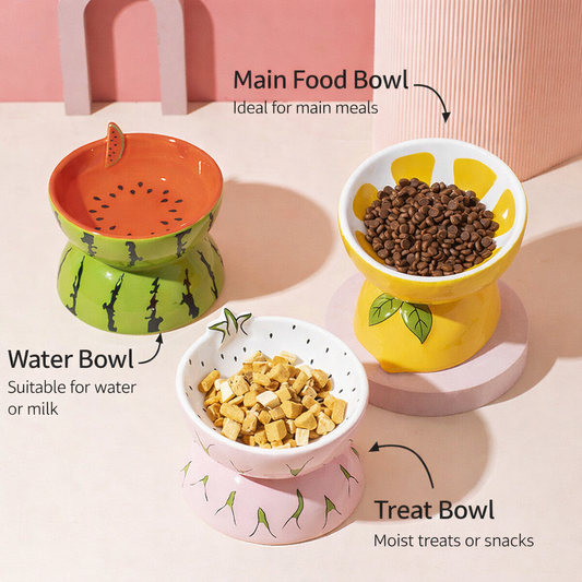 Fruit Cat Bowl