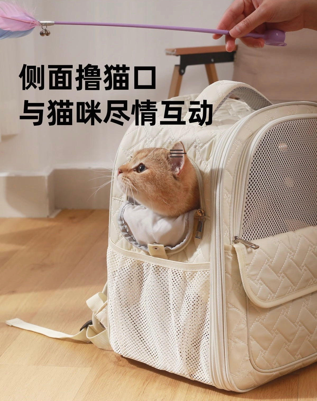 Ameeklion Pet Backpack