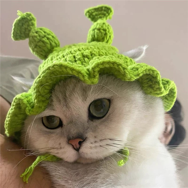 Crochet Costume Hat