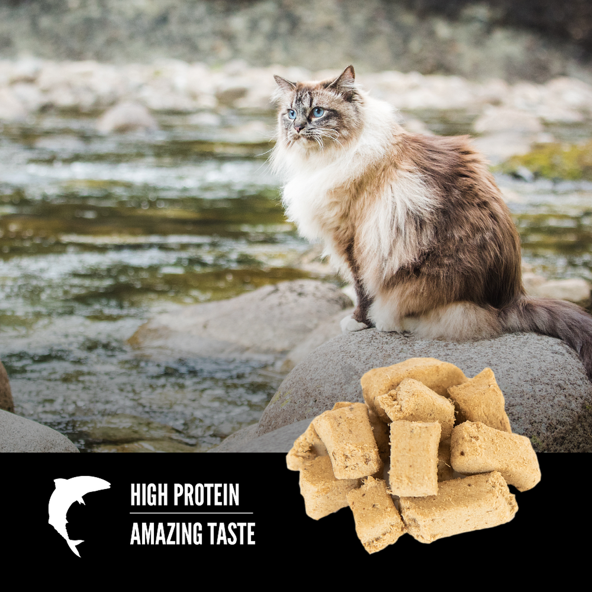ORIJEN Six Fish Freeze-Dried Cat Treats 35g