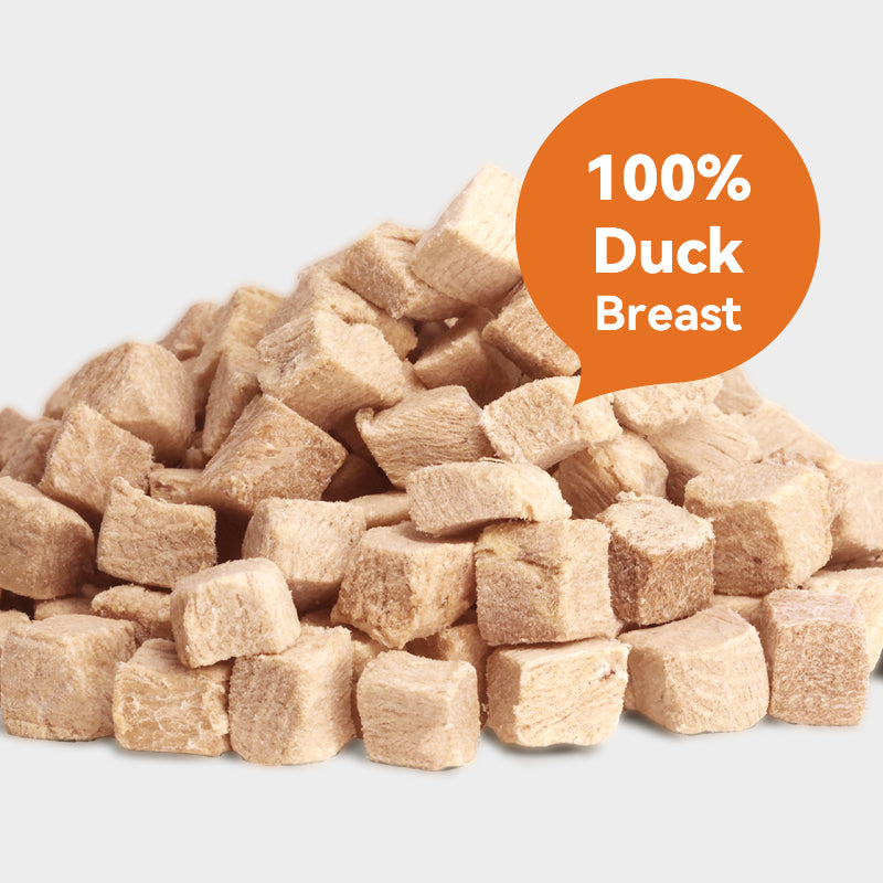 RANOVA Freeze-Dried Duck Cat Treat 115g