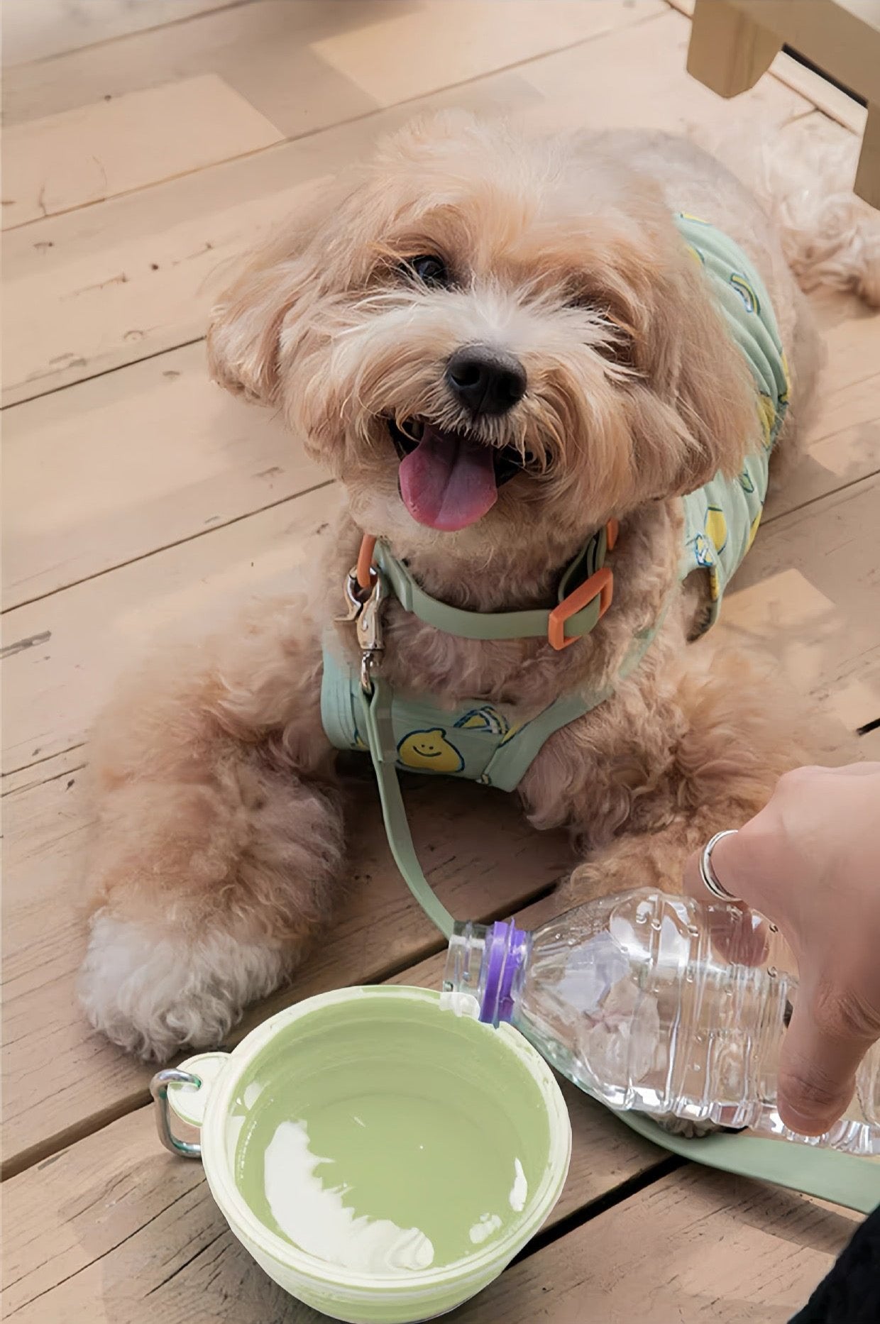 Collapsible Travel Cup For Pets
