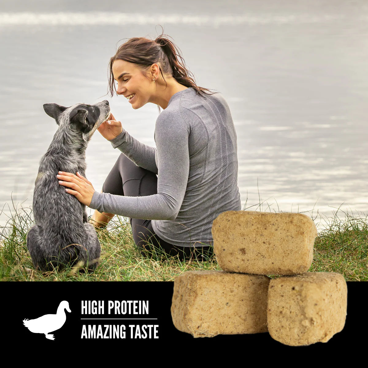 ORIJEN Duck Freeze-Dried Dog Treats